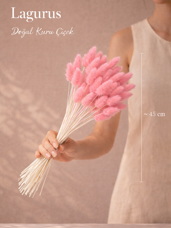 Pamuk Otu (Lagurus) Pembe