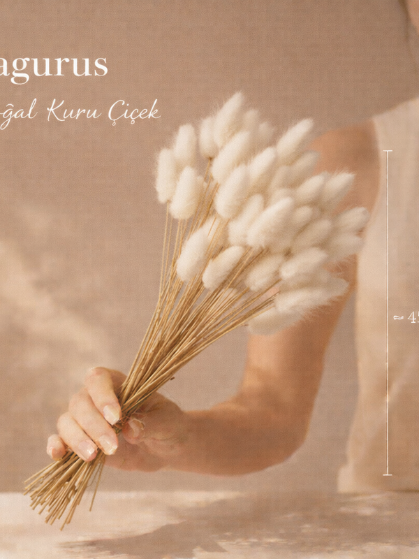 Pamuk Otu (Lagurus) Naturel